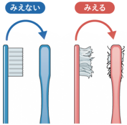 歯ブラシの交換時期